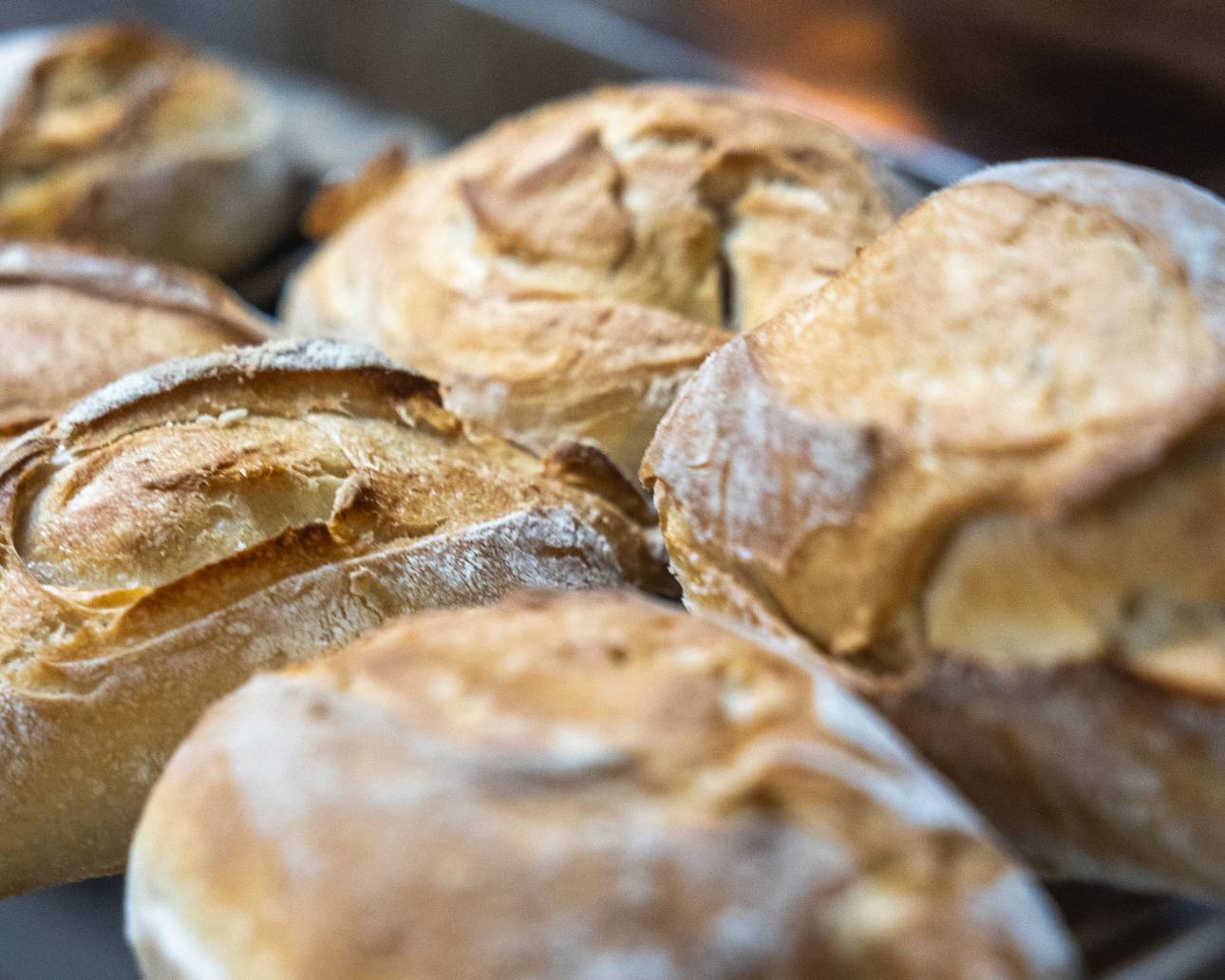 Pan dei Roveri panificio artigianale